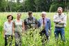 Beringen - Meer bloemen en biodiversiteit met 'Limburg zaait'