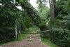 Beringen - Stormschade online melden!