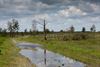 Lommel - Ook Blekerheide getroffen door stormschade