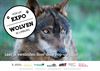 Lommel - Expo 'Wolven in Limburg' geopend