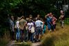 Beringen - Kruidenwandeling aan de Watersnip