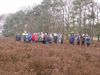 Overpelt - Wandelen in 't Plat