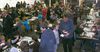 Neerpelt - Goede prestaties in schoolschaakkampioenschap