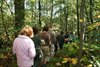 Hamont-Achel - Veel volk op paddenstoelenwandeling