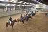 Hamont-Achel - Dressuur in de manège