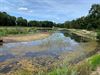 Hamont-Achel - Vijver De Bever wordt weer drooggelegd