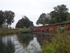Pelt - De Dommeltrippers op verrassingsuitstap