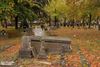 Hamont-Achel - Herfst op het kerkhof