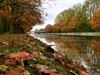 Pelt - Herfst aan het kanaal