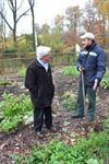 Houthalen-Helchteren - Maak je tuin klaar voor de winter