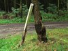 Overpelt - Onbekenden stelen wegwijzerpaaltjes