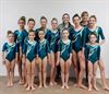 Beringen - 6 medailles voor Gym 90 Beringen