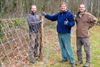 Beringen - Inge en Guy zetten wolvenomheining