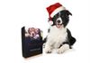 Beringen - Kerstboxen voor honden