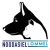 Lommel - Vlaanderen subsidieert dierenasiel