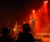Hamont-Achel - Koekoeksrock in de Posthoorn