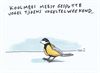 Houthalen-Helchteren - Koolmees meest gespotte vogel