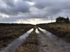 Lommel - Vandaag in de Heide