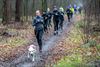 Pelt - Geen weer om een hond door te jagen?