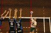 Hamont-Achel - AVOC verliest van Vosselaar