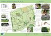 Beringen - Ontwerp speeltuin Beverlo goedgekeurd
