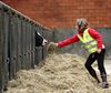 Neerpelt - De 'nabijheidsboerderij': iets nieuws