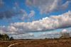 Lommel - Knappe luchten boven Blekerheide