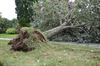 Peer - Schade door stormweer