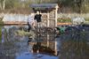 Beringen - Tuinieren met de voeten in het water