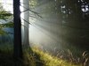 Neerpelt - Vakantiegroeten uit... Tsjechië