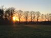 Lommel - Een aantal knappe natuurfoto's