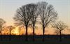 Pelt - Zonsondergang aan de Loksvaartdijk