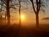 Lommel - Nog wat meer prachtige natuur