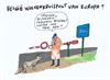 Beringen - Weer nieuwe wolven gespot in Wallonië