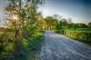 Lommel - Natuurfoto's blijven toestromen