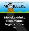 Lommel - Ons 'Molleke' (8)