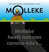 Lommel - Ons 'Molleke' (12)
