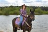 Lommel - Een passie voor paarden: Brenda Vanderhoydonks
