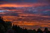 Beringen - De avond kleurde rood