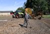 Beringen - Boeren snakken naar regen