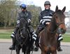 Lommel - Politie te paard aan zandputten