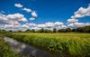 Beringen - Mooi wandelweer