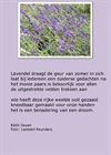 Beringen - De geur van lavendel