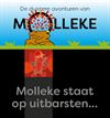 Lommel - Ons Molleke (21)