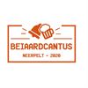 Pelt - Geen beiaardcantus dit jaar