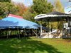 Hamont-Achel - Circusfestival morgen van start