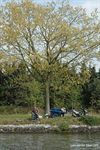 Neerpelt - Gemeente zoekt nieuwe 'Meekijker'