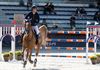 Pelt - Beroemdheden op hun paard