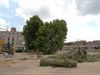 Neerpelt - Ook bomen weg voor serviceflats