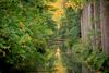 Lommel - Herfst is gelijk aan kleur